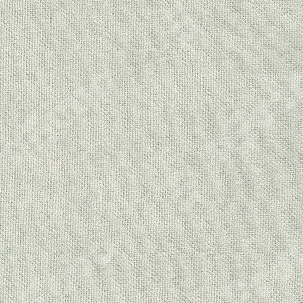 Канвас Светло-серый v-371