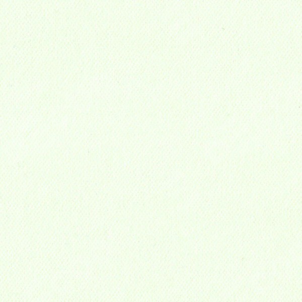 Вельвет Кремовый 85524